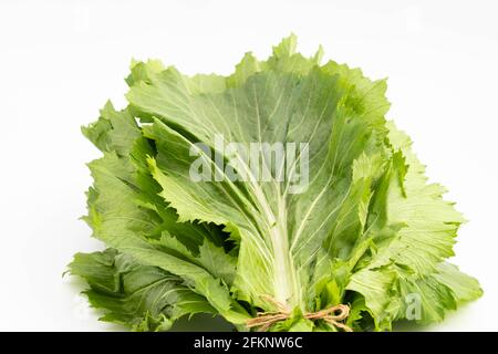 Sarson lascia Saag di Brown o Chinese Black Mustard Rai Raya o Raai anche conosciuto come Brassica Juncea è potente Erbe ayurvediche e spezie con più Foto Stock