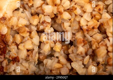 Porridge di grano saraceno bollito. Piatti tradizionali della cucina russa. Vista dall'alto della texture del grano saraceno. Foto Stock