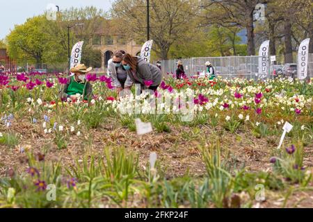 Detroit, Michigan - la gente ha ricevuto un'anteprima del nuovo giardino pubblico da 2.6 acri, 4.2 milioni di dollari, progettato da Pi, importante designer olandese di giardini Foto Stock
