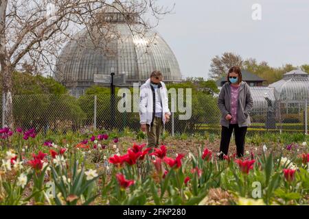 Detroit, Michigan - la gente ha ricevuto un'anteprima del nuovo giardino pubblico da 2.6 acri, 4.2 milioni di dollari, progettato da Pi, importante designer olandese di giardini Foto Stock