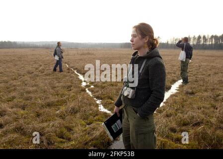 Gosia Znaniecka lavora per OTOP (società polands per la protezione degli uccelli sulle terre umide della valle di Rospuda. I progetti di costruzione di un'autostrada attraverso le Polands, la valle di Rospuda, un'area di terra di paterie praticamente intatta al confine con la Lituania, hanno scatenato una grande controversia sia in Polonia che a Bruxelles con gli ambientalisti che avvertono che potrebbe avere un effetto catastrofico sulla fauna locale. La via Baltica mira a collegare gli stati baltici alla Scandinavia e faciliterà il commercio tra le due regioni di David Sandison Foto Stock