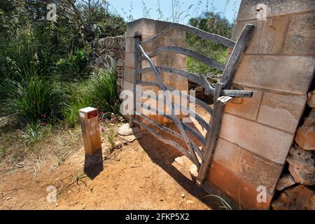 Tradizionale cancello menorcan in legno di ulivo lungo il cami de Cavalls percorso costiero Foto Stock