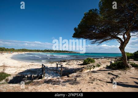 La bella spiaggia di sabbia bianca a Son saura ON la costa meridionale di minorca Foto Stock