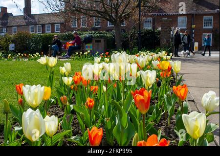 Old Amersham, Buckinghamshire, Regno Unito. 14 aprile 2021. La gente stamani si è goduto il bel sole di primavera nei Remembrance Gardens di Old Amersham mentre la città torna alla vita dopo il passo successivo nella roadmap per alleviare le restrizioni di blocco Covid-19. Welcome Back Signs sono stati posti intorno alla città da Buckinghamshire Council e conigliare è stato disposto intorno alla città. Credito: Maureen McLean/Alamy Foto Stock