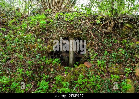 Forni a coke abbandonati ma ben conservati in NE Derbyshire. Foto Stock