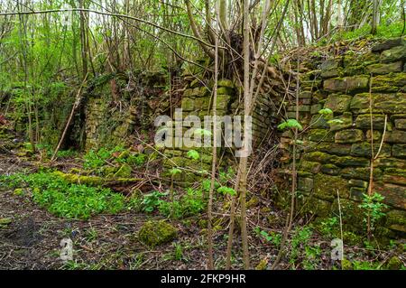 Forni a coke abbandonati ma ben conservati in NE Derbyshire. Foto Stock