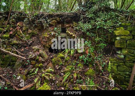 Forni a coke abbandonati ma ben conservati in NE Derbyshire. Foto Stock