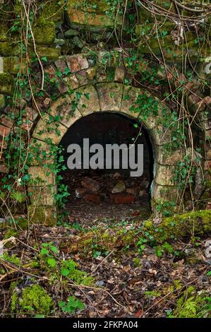 Forni a coke abbandonati ma ben conservati in NE Derbyshire. Arcuatura a secco al foro di svuotamento. Foto Stock