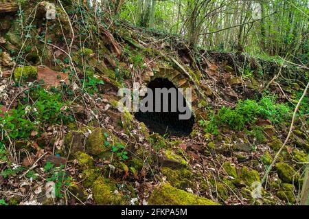 Forni a coke abbandonati ma ben conservati in NE Derbyshire. Foto Stock