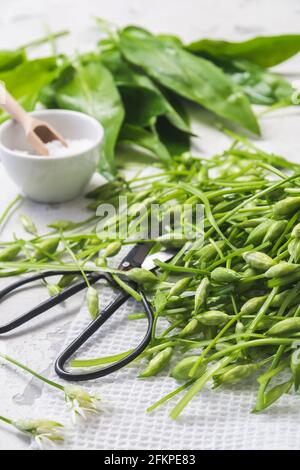 Mucchio di germogli di aglio selvatico e foglie bagnate e una ciotola con sale su sfondo bianco, verticale Foto Stock
