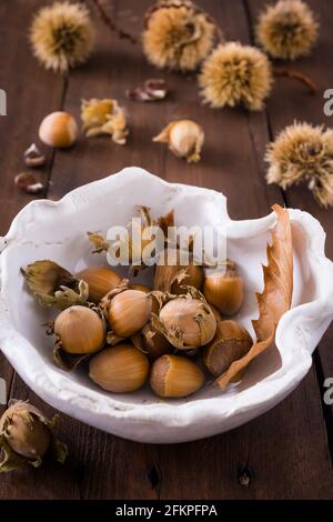 Nocciole nelle loro nocciole in una ciotola bianca, castagne pricciate in legno marrone sfondo, verticale stock foto Foto Stock