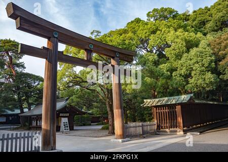 Santuario Meiji a Tokyo, Giappone. Torii del Santuario Meiji Jingu nel centro di Tokyo (Shibuya), Giappone. Meiji Jingu Shrin è il santuario Shinto e più popolare h Foto Stock