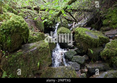 Piccola cascata nel Galles Regno Unito Foto Stock