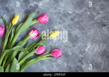 tulipani rosa e giallo fiori su sfondo grigio da cui è stato girato sopra con spazio per la copia Foto Stock