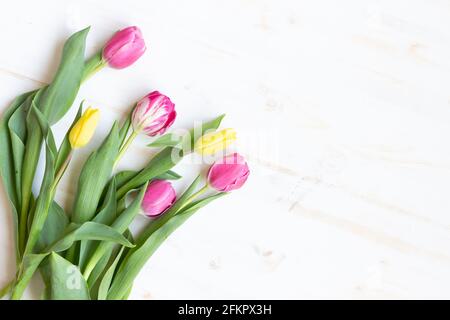 Tulipani rosa e giallo che si posa su tavola di legno bianco con spazio di copia Foto Stock