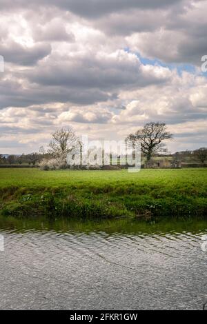 Passeggiata lungo la strada dell'Ouse in primavera in un pomeriggio soleggiato Foto Stock