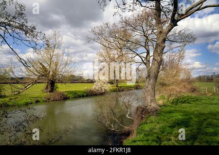 Camminando sulla Ouse Way, Barcombe Mills, Inghilterra, in un pomeriggio di primavera soleggiato Foto Stock