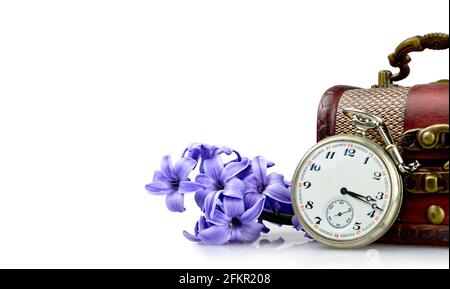 Fiori del giorno dei padri e orologio da tasca vintage isolato su bianco sfondo con spazio di copia Foto Stock