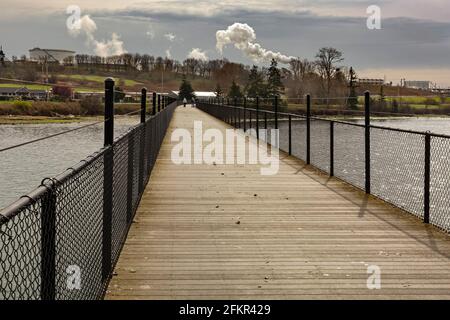 WA19569-00...WASHINGTON - la tresla che attraversa la Fidalgo Bay sul Tommy Thompson Trail con la raffineria Puget Sound in lontananza. Foto Stock