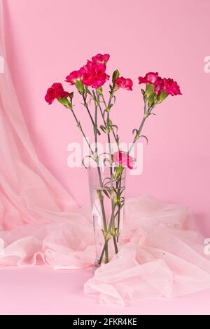 Freschi bellissimi garofani rossi in vaso di vetro su sfondo rosa Foto Stock