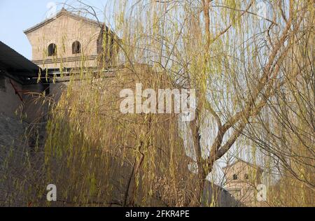 Pingyao nella provincia di Shanxi, Cina. Mura della città di Pingyao e torri di avvistamento viste attraverso i salici dal parco accanto al vecchio muro. Foto Stock