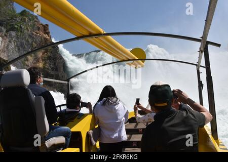 Nave turistica gialla che si avvicina alla cascata delle Cascate del Reno per sperimentare spruzzi d'acqua bianca. Turista in vista posteriore scatta foto con i telefoni cellulari. Foto Stock