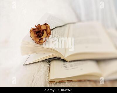 Colpo di closeup di rosa essiccata che posa su un libro aperto Foto Stock