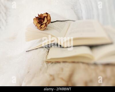 Colpo di closeup di rosa essiccata che posa su un libro aperto Foto Stock