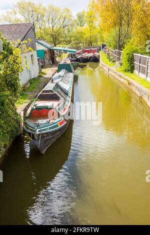 Storico canale attivo barche strette ormeggiate presso il cantiere navale di Malkings Bank Il canale Trent e Mersey Cheshire Foto Stock