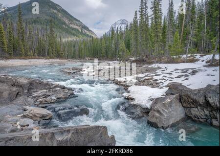 Kicking Horse River nel Parco Nazionale di Yoho vicino a Field, British Columbia, Canada Foto Stock