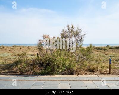 Castelldefels spiaggia, piccola città vicino a Barcellona Foto Stock