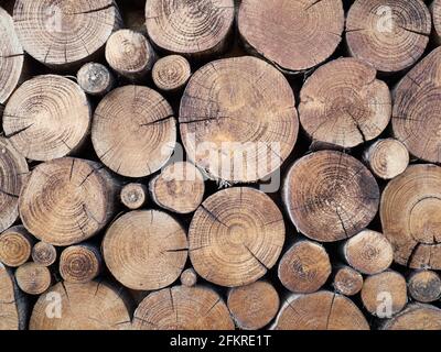 Castelldefels spiaggia, piccola città vicino a Barcellona Foto Stock