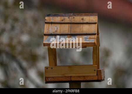 Wooden birdhouse on spring color fresh garden Foto Stock