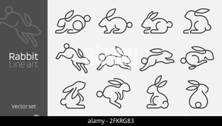 Illustrazione vettoriale a linea continua di coniglio. Design mono lineare Illustrazione Vettoriale