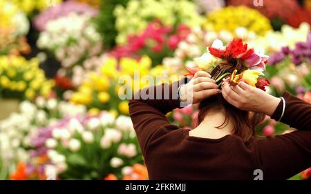 Sara Turner del Bloms Bulbs Primrose Nursery mostra fixes una disposizione floreale nei suoi capelli durante gli ultimi pochi Ore di preparazione al Chelsea Flower Show che apre Domani.19 Maggio 2002 foto Andy Paradise Foto Stock