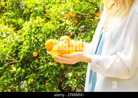 Attraente giovane donna in forma che tiene la ciotola gialla luminosa piena di arance raccogliere pile in piantagione di prodotti locali fattoria. Donna in camicia di cotone sciolta, sole Foto Stock