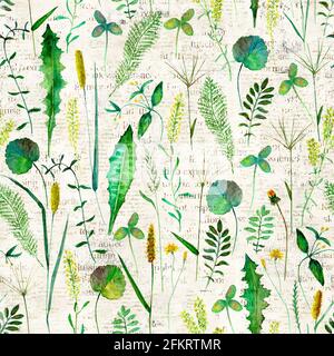 Modello senza cuciture con fiori selvatici prato, erbe, erbe. Acquerello illustrazione botanica disegnata a mano sullo sfondo del giornale. Acquerello o erbe Foto Stock