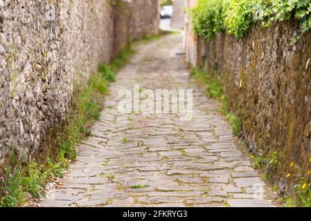 Una Strada Stretta Con Muri Di Pietra Ricoperti Di Edera Verde E Un  Ruscello D'acqua Nel Centro Della Città Di Villanueva De La Ve Fotografia  Editoriale - Immagine di cityscape, paesaggio: 226866091