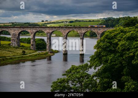 British Rail Class 66 gestita da GB Raidargo (GBRf) in direzione nord attraverso il Royal Border Bridge a Berwick Upon Tweed, Northumberland, Inghilterra Foto Stock