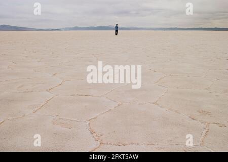 Persona in piedi sulla distesa di sale, guardando a vista, vista posteriore, Salar de Arizaro, Provincia di Salta, Argentina Foto Stock