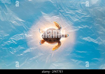 White plastic bag cover blue surface with light shining on blurred turtle toy model that trapped on it. Minimal ocean day concept. Foto Stock
