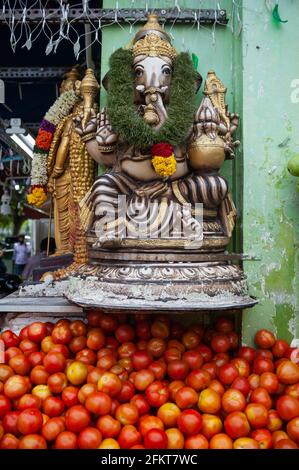 10.05.2019, Singapore, Repubblica di Singapore, Asia - la statua indù di Ganesha e il piccolo santuario sono montati sopra un mucchio di pomodori freschi in Little India. Foto Stock