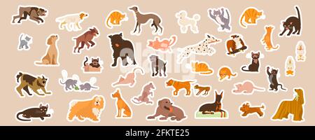 Set adesivi carino per cani e gatti domestici. Graziose etichette appiccicose decorate con immagine di cartoni animati. Segni, simboli, oggetti di animali domestici. Vettore di arte piatta Illugrati Illustrazione Vettoriale