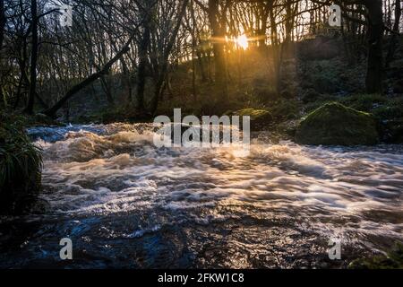 Nel tardo pomeriggio luce del sole mentre il fiume Fowey scorre lungo Golitha Falls nello storico e antico bosco Draynes Wood in Cornovaglia. Foto Stock