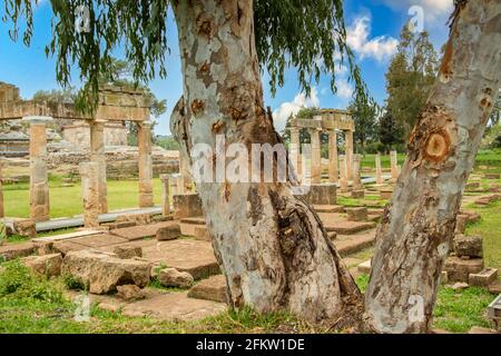 Il tempio dell'antica dea Artemis a Brauron (Vravrona) in Attica, Grecia Foto Stock