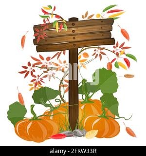 Cartello in legno, posta, cartello, in erba e pietre, con grandi zucche, ricoperte di edera autunnale. Versione autunnale. Illustrazione vettoriale nel cartone Illustrazione Vettoriale