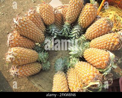 vista panoramica su una fornitissima ananas alla frutta Foto Stock