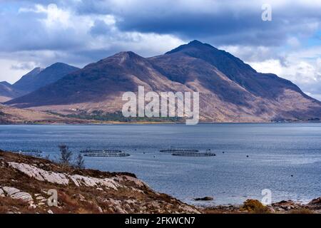 SHIELDAIG WESTER ROSS HIGHLANDS SCOTLAND MONTAGNE E PESCE ALLEVAMENTO DI SALMONE GABBIE NEL TORRIDON LOCH SUPERIORE Foto Stock