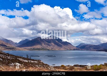 SHIELDAIG WESTER ROSS HIGHLANDS SCOZIA ALLEVAMENTO DI SALMONE PESCE GABBIE IN TORRIDON LOCH SUPERIORE Foto Stock