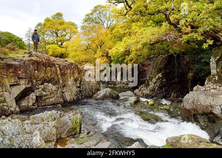 Acque selvagge di Stonethwaite Beck, un piccolo fiume formato alla confluenza di Langstrath Beck e Greenup Gill sotto Eagle Crag. Esplorare bello n Foto Stock